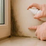 습기 많은집 인테리어 - 곰팡이 해결 청소법, mold cleaning solution