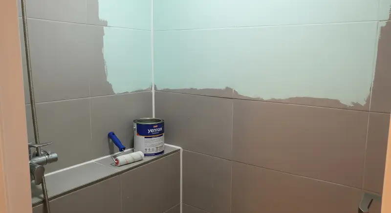 전세집 화장실 색상 리폼, bathroom color repaint