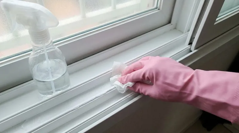 창틀 실리콘 곰팡이 청소와 관리